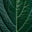 logo-company