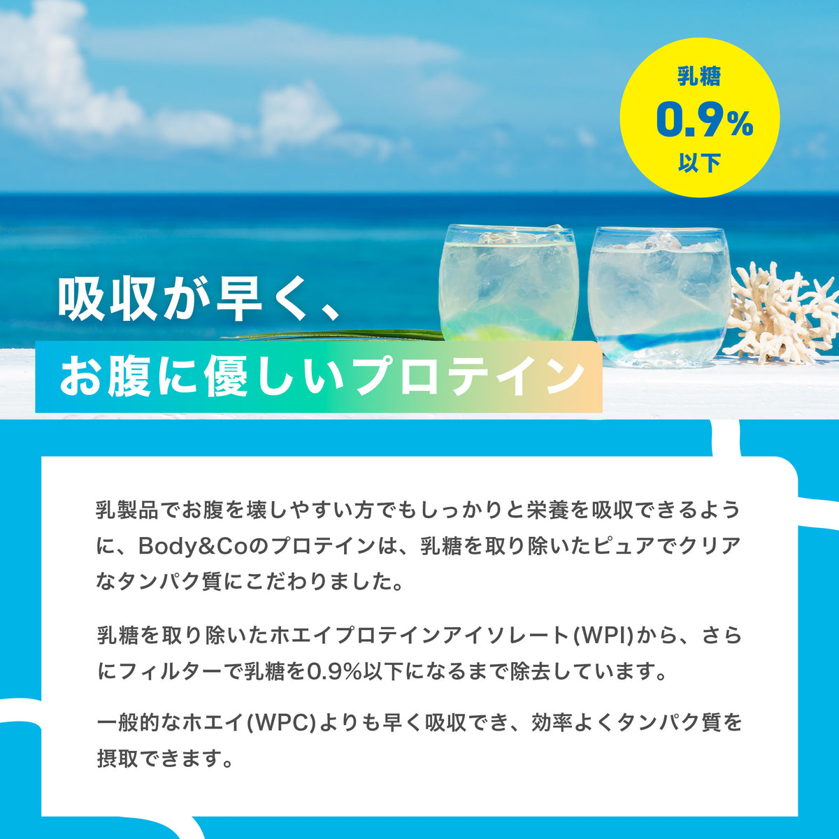 HaiSai クリアホエイプロテイン 沖縄県産パッションフルーツ味 600g