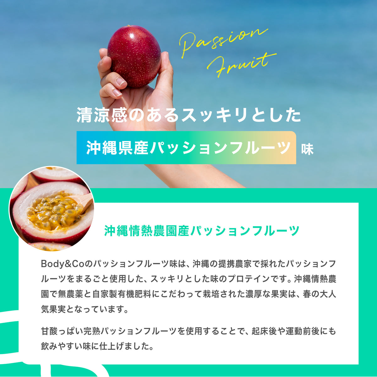 HaiSai クリアホエイプロテイン 沖縄県産パッションフルーツ味 600g